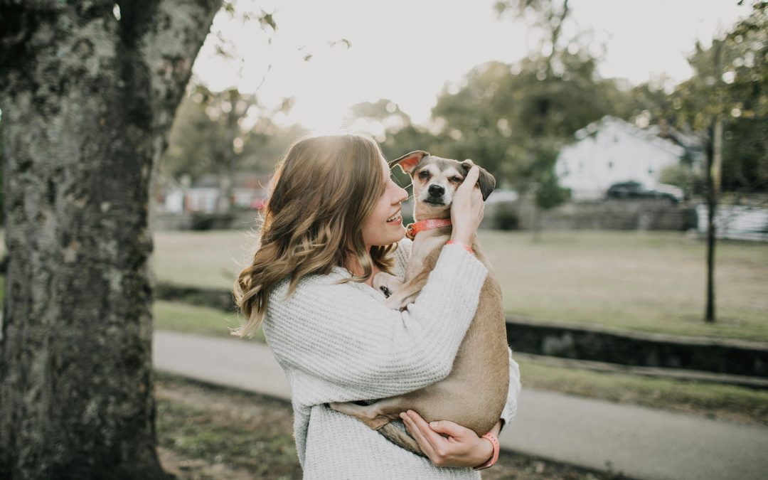 Creating a Pet-Friendly Home: Essential Tips